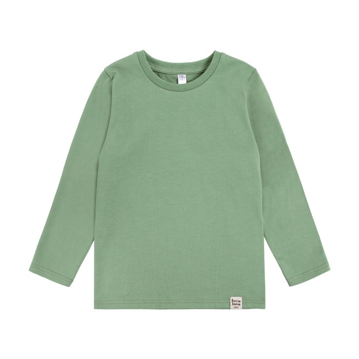 фото Лонгслив для мальчиков, рост 140 см, цвет зеленый bossa nova