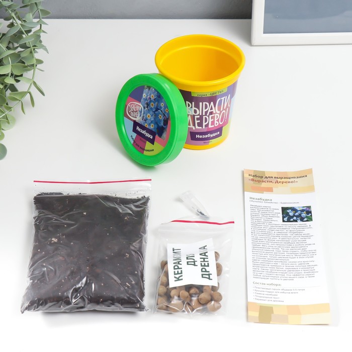 Подарочный набор для выращивания растений "Вырасти, Дерево! Незабудка"
Подарочный набор для выращивания растений "Вырасти, Дерево! Незабудка"