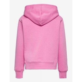 Худи Champion Legacy American Classics Hooded Sweatshirt, рост 156-162 см (403914-PS009)
Худи Champion Legacy American Classics Hooded Sweatshirt, рост 156-162 см (403914-PS009)