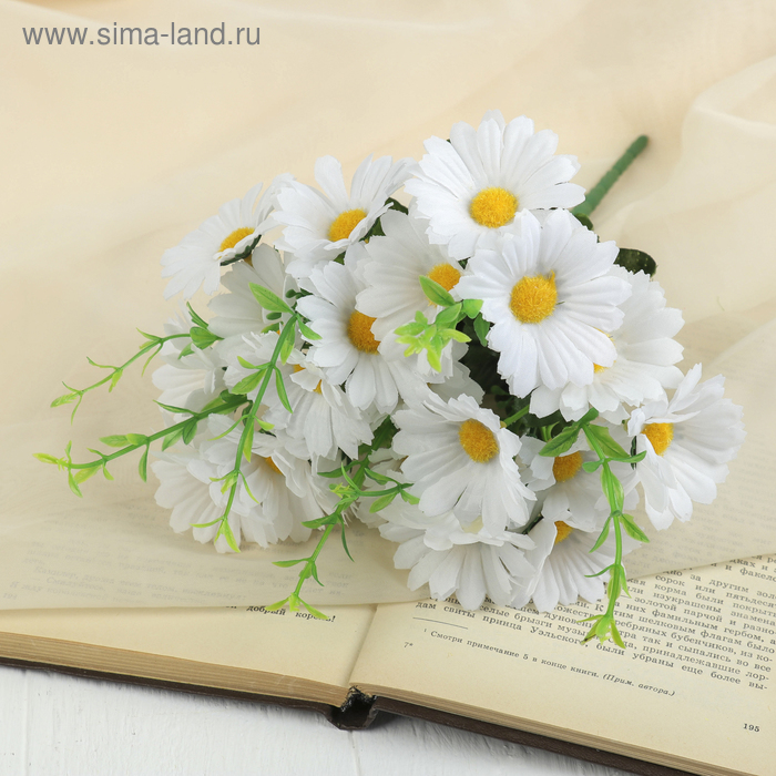 букет 33 см ромашка белая
букет 33 см ромашка белая