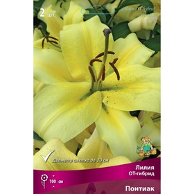 Лилии ОТ-Гибриды Понтиак, 14/16 р-р, 2 шт. 100 h(см), Осень 2022
Лилии ОТ-Гибриды Понтиак, 14/16 р-р, 2 шт. 100 h(см), Осень 2022