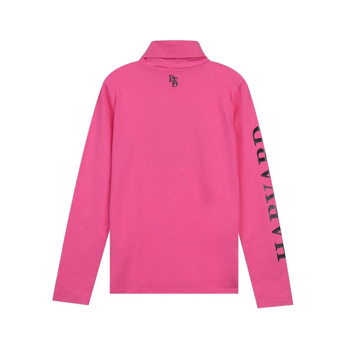 Водолазка для девочки, рост 146 см 
Водолазка для девочки, рост 146 см