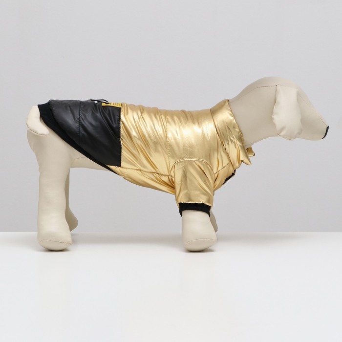 фото Куртка для собак "космонавт", размер 10, чёрно-золотая (дс 25, ош 30, ог 38 см)