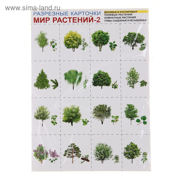 Куст Рф Интернет Магазин