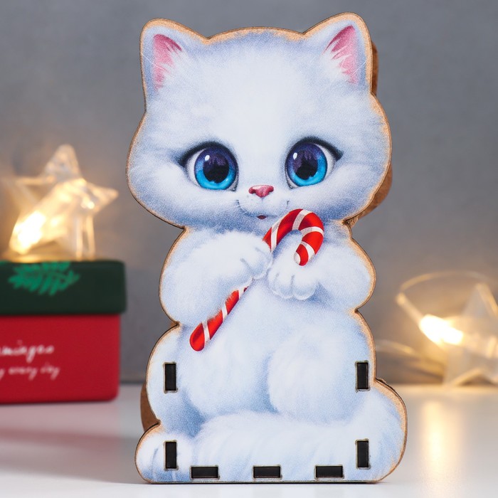 фото Органайзер "кот. нг" 15х9 см