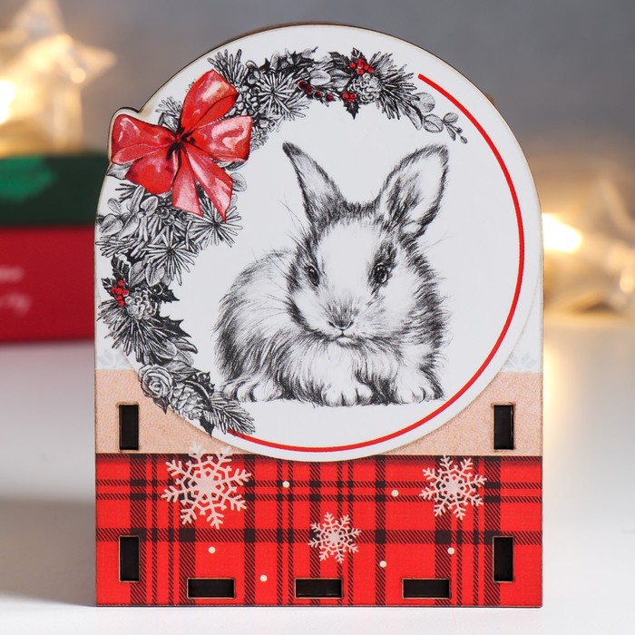 фото Органайзер "кролик. нг" 10х8 см