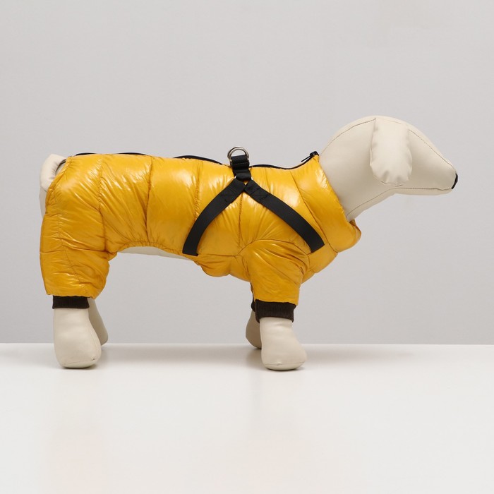 фото Комбинезон для собак со шлейкой "моден", размер 8 (дс 23, ог 30, ош 22 см), жёлтый