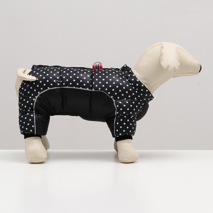 фото Комбинезон для собак "горошек", размер 10 (дс 25, ог 34, ош 24 см), чёрный