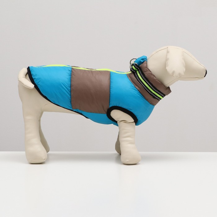 фото Куртка для собак на молнии, размер 12 (дс 28 см, ог 38 см, ош 27 см), серо-голубая
