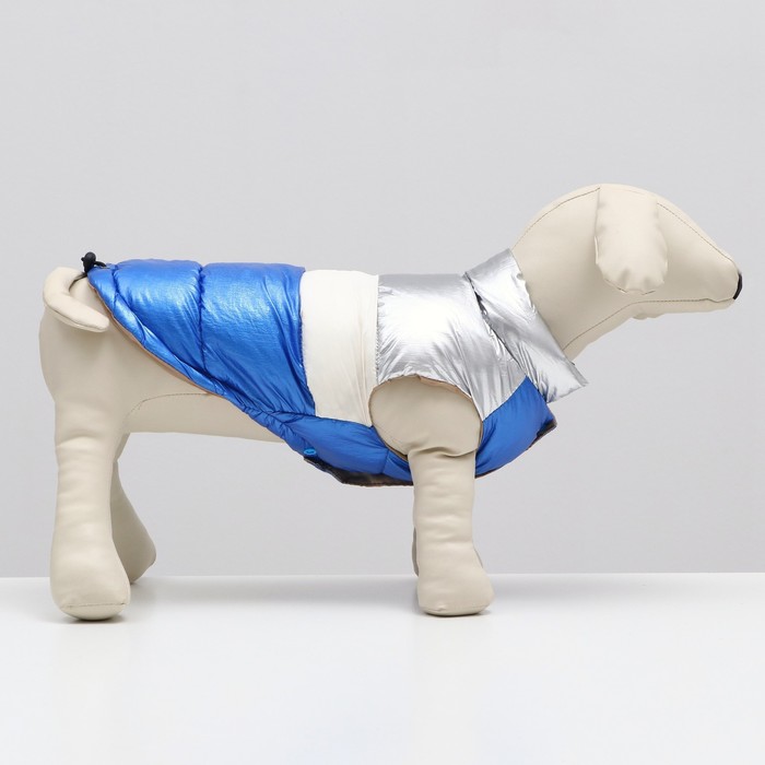 фото Куртка для собак с утяжкой размер 14 (дс 32, ог 42, ош 31), серебряно-синяя