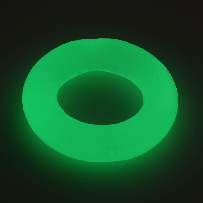 фото Игрушка для собак "кольцо", светящаяся в темноте, 9,5 см пижон