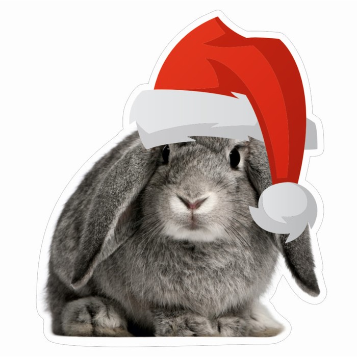 фото Наклейка автомобильная "кролик в новогодней шапке", 100 х 100 мм, вид 5 арт рэйсинг