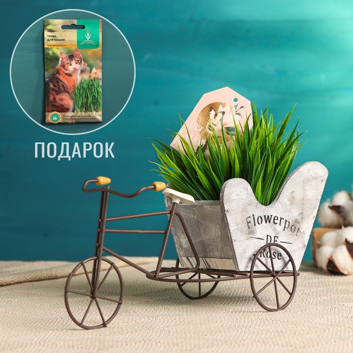 фото Кашпо-велосипед "для самой нежной" + подарок take it easy