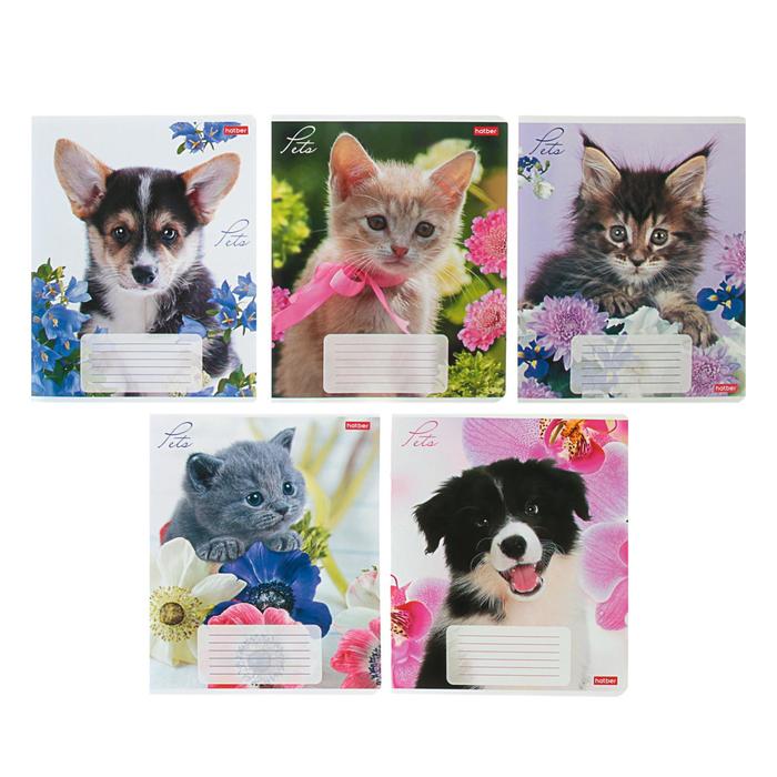 Тетрадь 12 листов в клетку «Любимцы», обложка мелованный картон, блок офсет, МИКС
Тетрадь 12 листов в клетку «Любимцы», обложка мелованный картон, блок офсет, МИКС