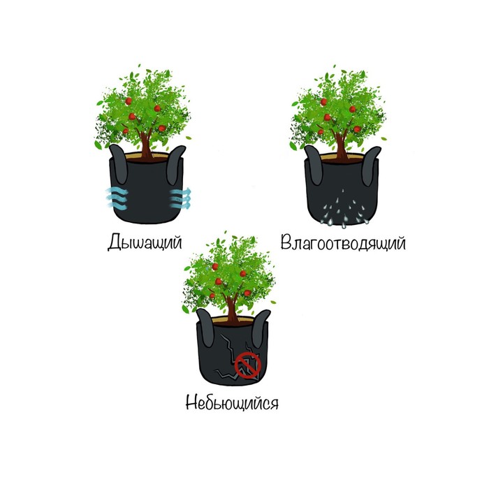 Текстильный мешок «Паттерн из пуансеттии», для хранения вещей и игрушек, размер 30х30 см, 18.9 л
Текстильный мешок «Паттерн из пуансеттии», для хранения вещей и игрушек, размер 30х30 см, 18.9 л