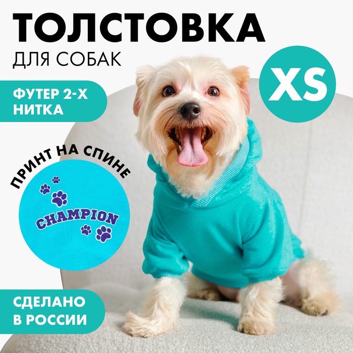 фото Толстовка champion для собак (футер), размер xs (дс 18, ош 28-30, ог 38-40), голубая пушистое счастье