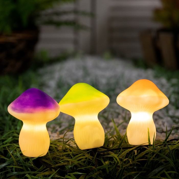 Садовый светильник на солнечной батарее «Грибы», 21 см, 3 LED, свечение тёплое белое
Садовый светильник на солнечной батарее «Грибы», 21 см, 3 LED, свечение тёплое белое