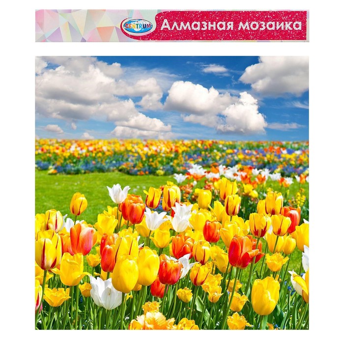 Алмазная мозаика без подрамника, частичное заполнение «Тюльпаны» 40 × 50 см
Алмазная мозаика без подрамника, частичное заполнение «Тюльпаны» 40 × 50 см