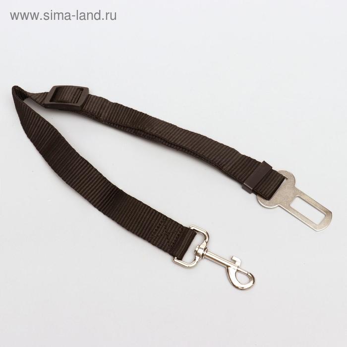 Автомобильный ремень безопасности для собак, 74 х 2,5 см, чёрный
Автомобильный ремень безопасности для собак, 74 х 2,5 см, чёрный