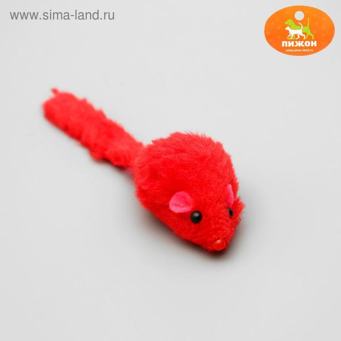 Игрушка для кошек "Мышь малая" цветная, 5 см, микс цветов
Игрушка для кошек "Мышь малая" цветная, 5 см, микс цветов