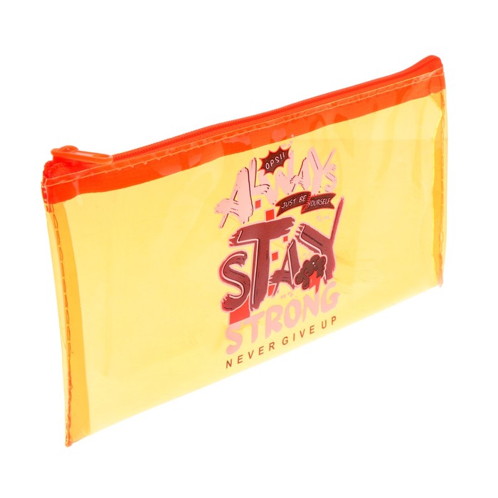 фото Пенал мягкий, 1 отделение, 108 х 205 мм, плоский, прозрачный морозостойкий полимер, пмп 01-86 stay strong оникс