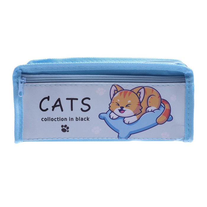 фото Пенал школьный на молнии микс 2 отделения котик calligrata