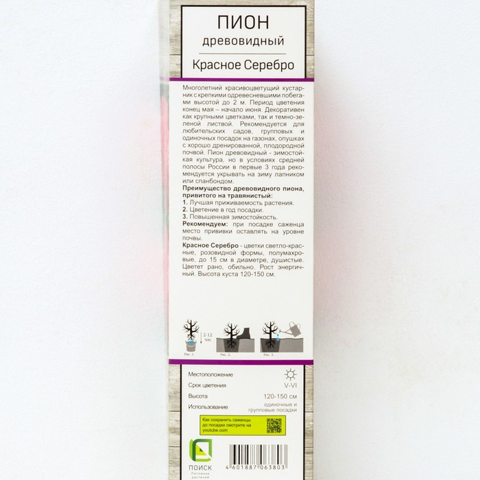 Пион древовидный (привитый на травянистый) "Красное Серебро ", 1 шт, туба, Весна 2024
Пион древовидный (привитый на травянистый) "Красное Серебро ", 1 шт, туба, Весна 2024