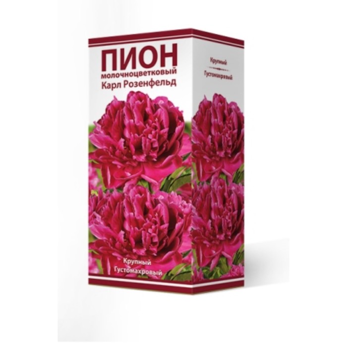 Пионы молочноцветковые и гибриды "Карл Розенфельд", 1 шт, р-р 2-3, Весна 2024
Пионы молочноцветковые и гибриды "Карл Розенфельд", 1 шт, р-р 2-3, Весна 2024