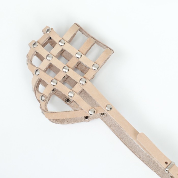 Намордник кожаный, размер 24 (английский коккер-спаниель - сука, пудель, такса), бежевый
Намордник кожаный, размер 24 (английский коккер-спаниель - сука, пудель, такса), бежевый