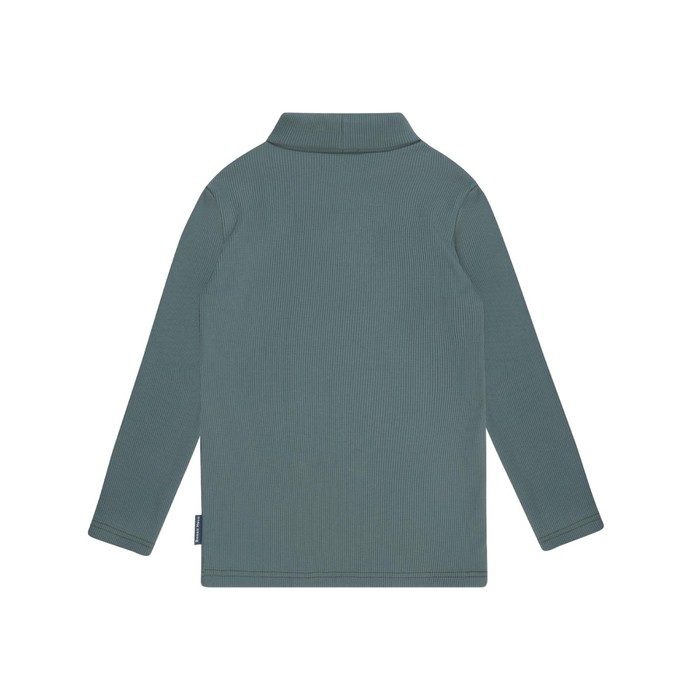 фото Водолазка для мальчика weekend, рост 116 см, цвет серо-зелёный bossa nova