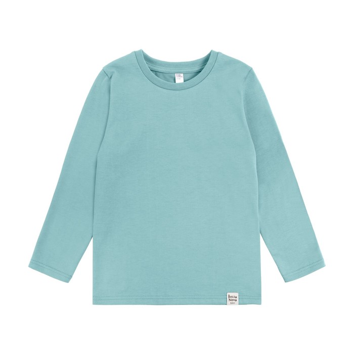 фото Лонгслив для девочки basic, рост 116 см, цвет ментоловый bossa nova
