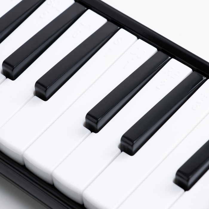 фото Музыкальный инструмент мелодика music life, черная, 32 клавишы, чехол