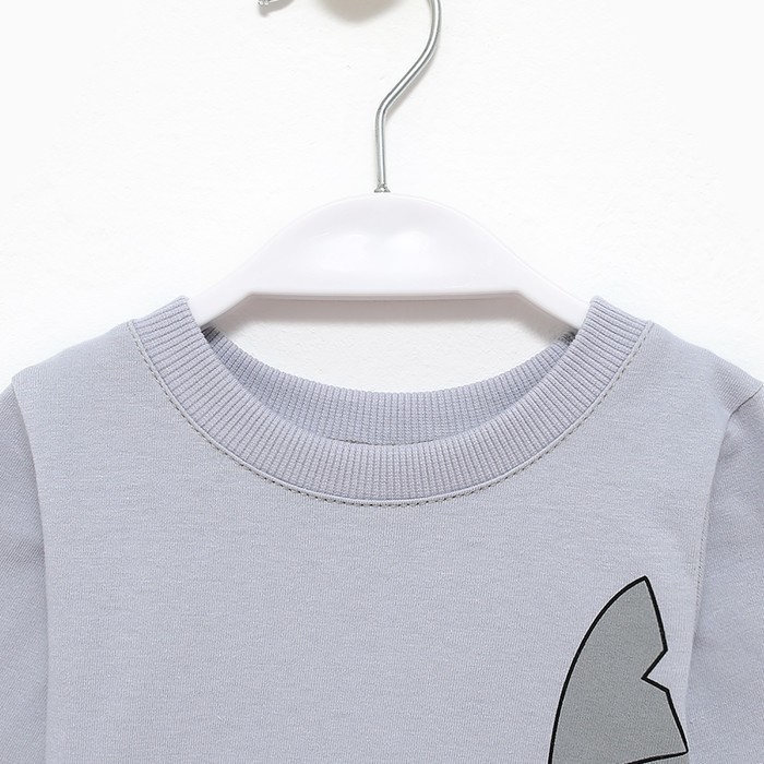 Лонгслив детский, цвет серый , рост 86см
Лонгслив детский, цвет серый , рост 86см