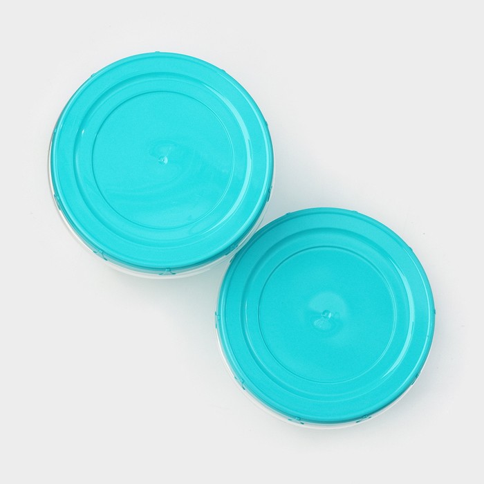 фото Набор банок для хранения продуктов с крышкой «фиджи», 2 шт: 0,7 л, 1 л тд ангора