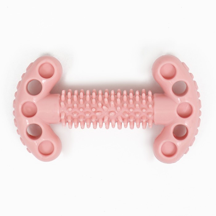 фото Игрушка для собак "ключ", tpr, массажная, 12 х 3,5 х 5 см, розовая пижон