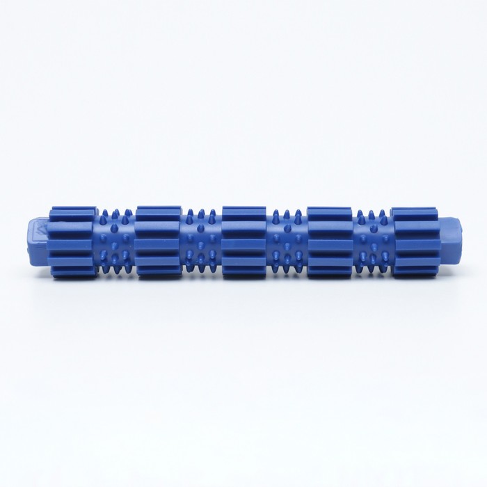 фото Игрушка жевательная для собак "палка с шипами", tpr, 18 см, синяя пижон