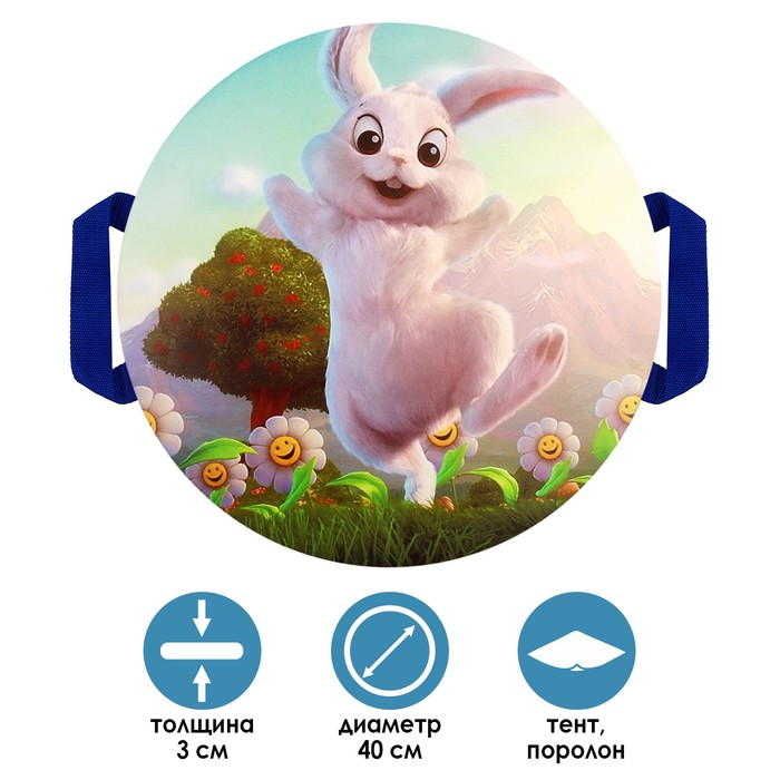 Санки-ледянки «Зайчик», d=40 см, цвета МИКС
Санки-ледянки «Зайчик», d=40 см, цвета МИКС