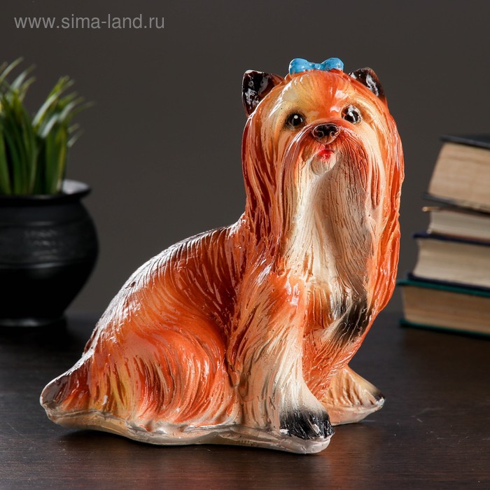 Копилка "Собака Йоркширский терьер" маленький 20х16х12см
Копилка "Собака Йоркширский терьер" маленький 20х16х12см