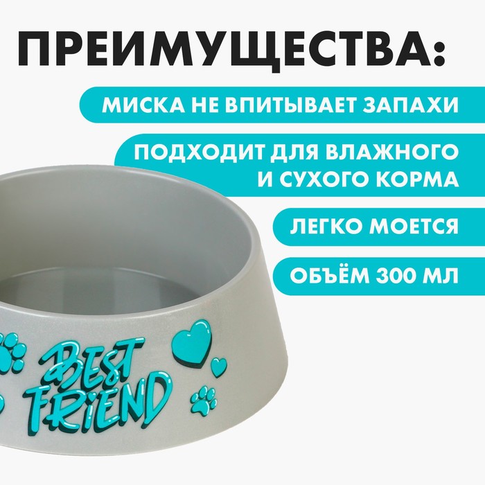 фото Миска пластиковая «best friend», серая, 300 мл пушистое счастье
