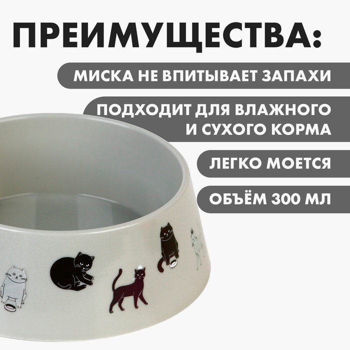 фото Миска пластиковая «коты», серая, 300 мл пушистое счастье