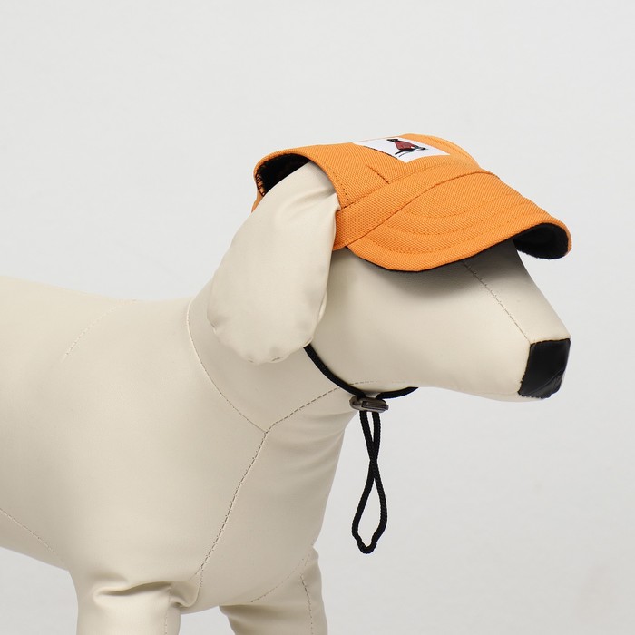 фото Кепка для собак, m (28-41 см), оранжевая