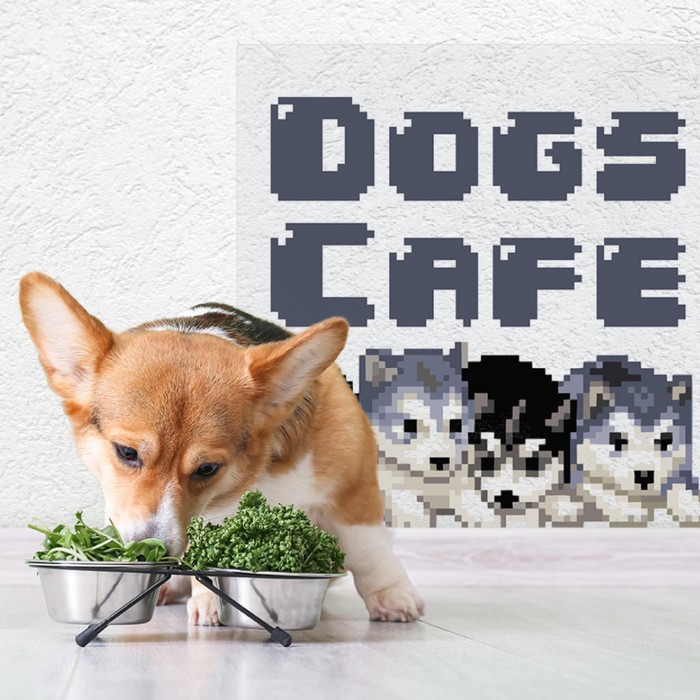 Защитная самоклеящаяся пленка на месте кормления/туалета питомца "Dogs café. Хаски" 50х40 см
Защитная самоклеящаяся пленка на месте кормления/туалета питомца "Dogs café. Хаски" 50х40 см
