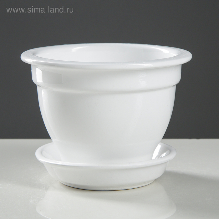 Горшок для цветов "Бета" фиалочница, белый, глянец, керамика, 0.5 л
Горшок для цветов "Бета" фиалочница, белый, глянец, керамика, 0.5 л