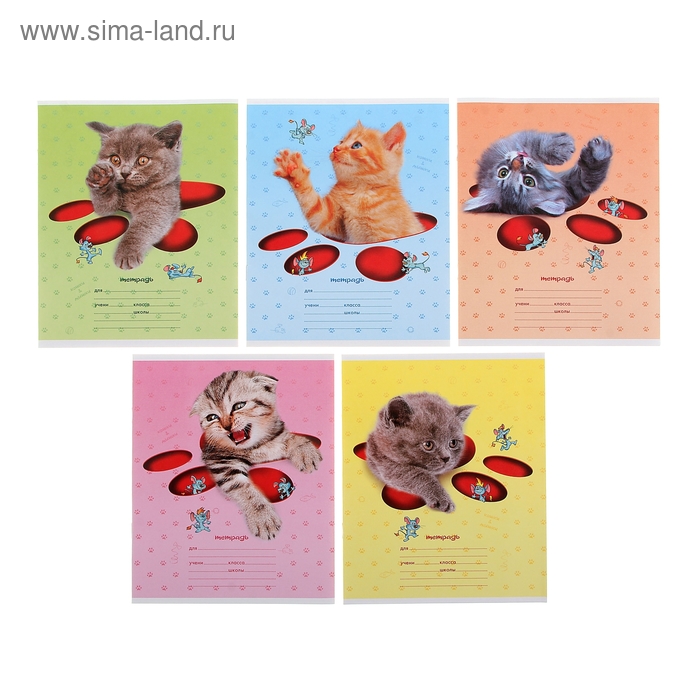 Тетрадь 12 листoв в клетку «Кошки-мышки», картонная обложка, тиснение, МИКС
Тетрадь 12 листoв в клетку «Кошки-мышки», картонная обложка, тиснение, МИКС