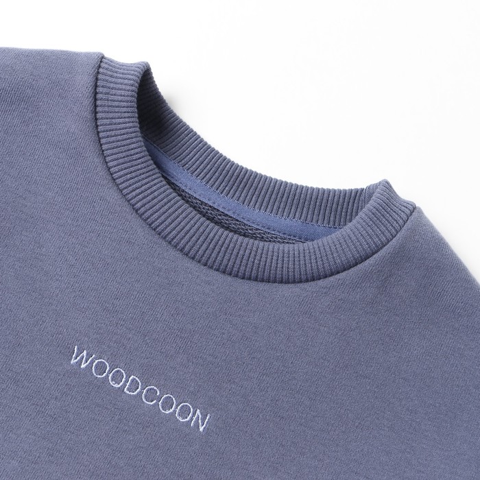 фото Свитшот для мальчика, цвет джинс, рост 140 см woodcoon
