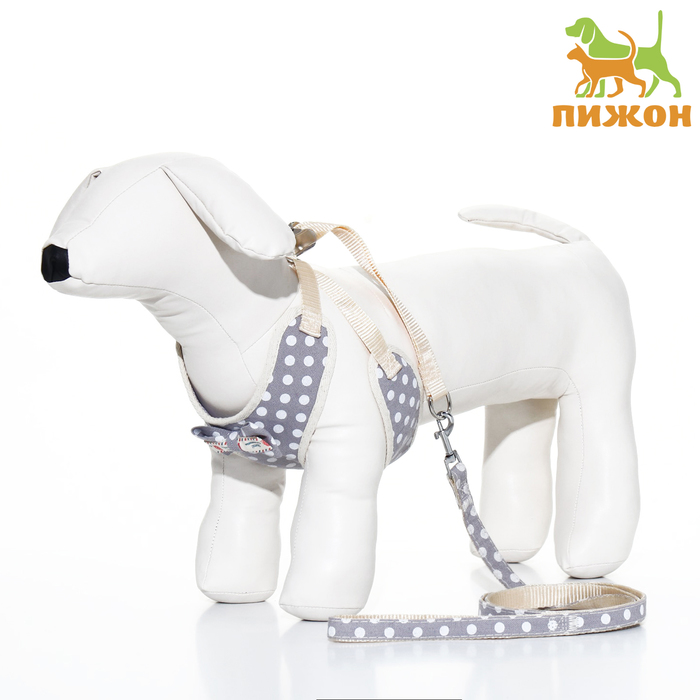 Комплект с мягкой шлейкой "Горох", размер S, поводок 120 х 1,5 см, ОГ 28-62 см, серый
Комплект с мягкой шлейкой "Горох", размер S, поводок 120 х 1,5 см, ОГ 28-62 см, серый