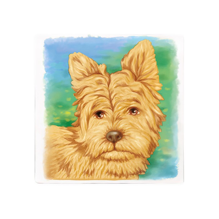 фото Многоразовая раскраска «собачка», 20 × 20 см maxitoys