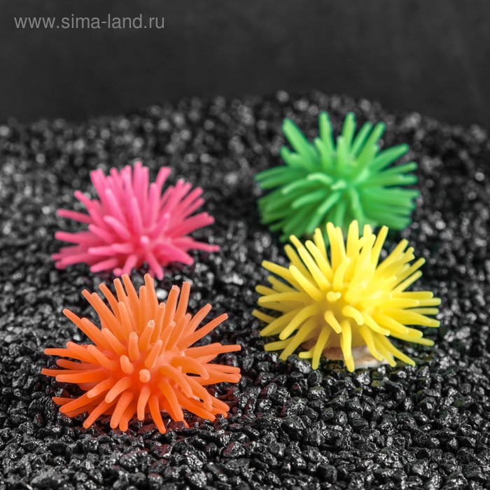 Декоративный анемон для аквариума, микс цветов, 5 х 3,5 см
Декоративный анемон для аквариума, микс цветов, 5 х 3,5 см