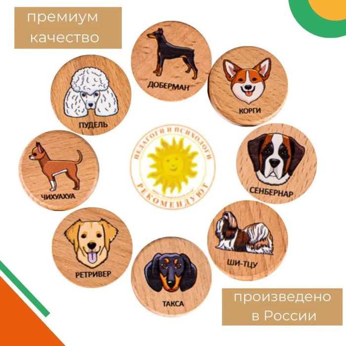 фото Мемори «собачки», в тубусе zartoy