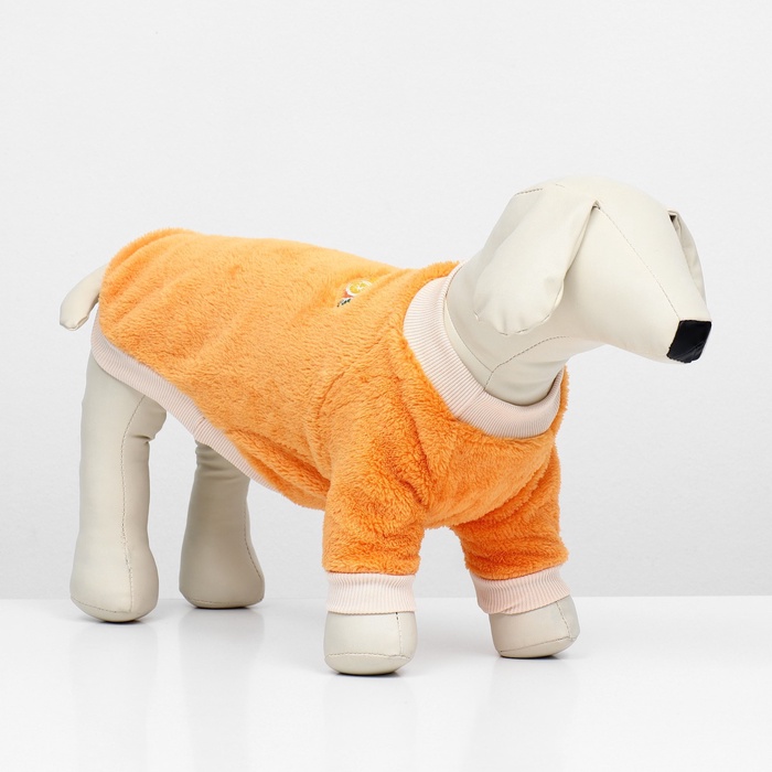 фото Свитер "мандарин", велюр, размер m (дс 30, ош 27, ог 40 см), оранжевый пижон